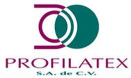 Logotipo de Profilatex en el currículo de 2023
